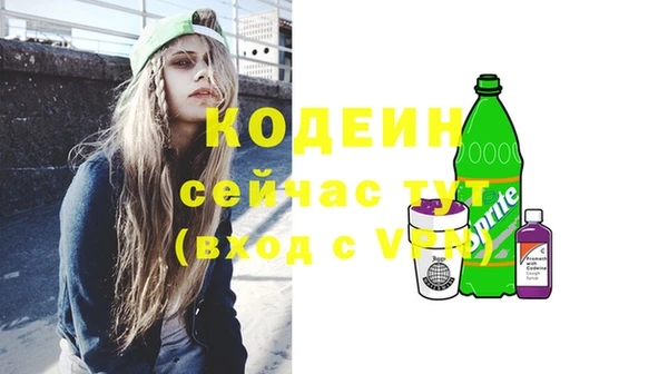 индика Богородицк