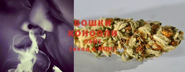 индика Богородицк