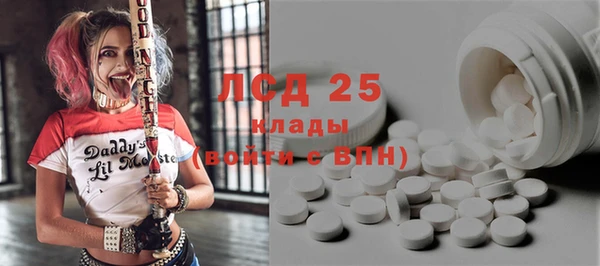 индика Богородицк
