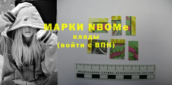 индика Богородицк