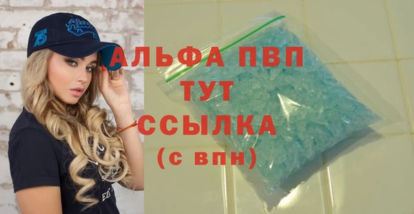 индика Богородицк