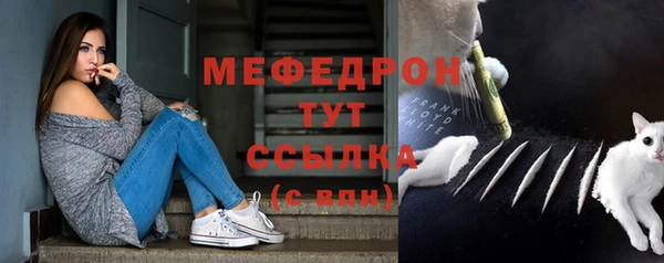индика Богородицк