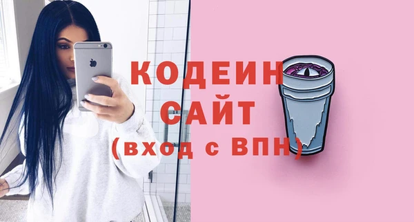 индика Богородицк