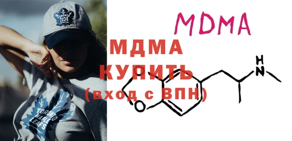 индика Богородицк