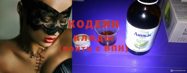 индика Богородицк