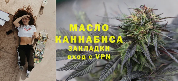 индика Богородицк