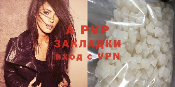 индика Богородицк