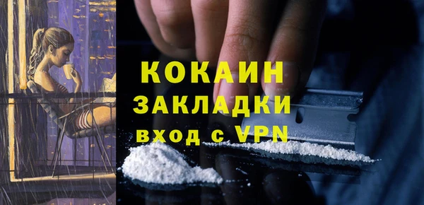 индика Богородицк